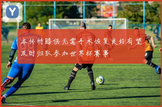 本怀特膝伤无需手术恢复良好有望及时归队参加世界杯赛事